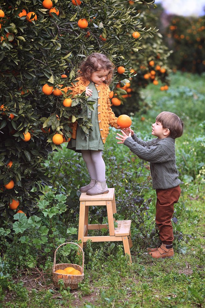 Photograph by Анастасия