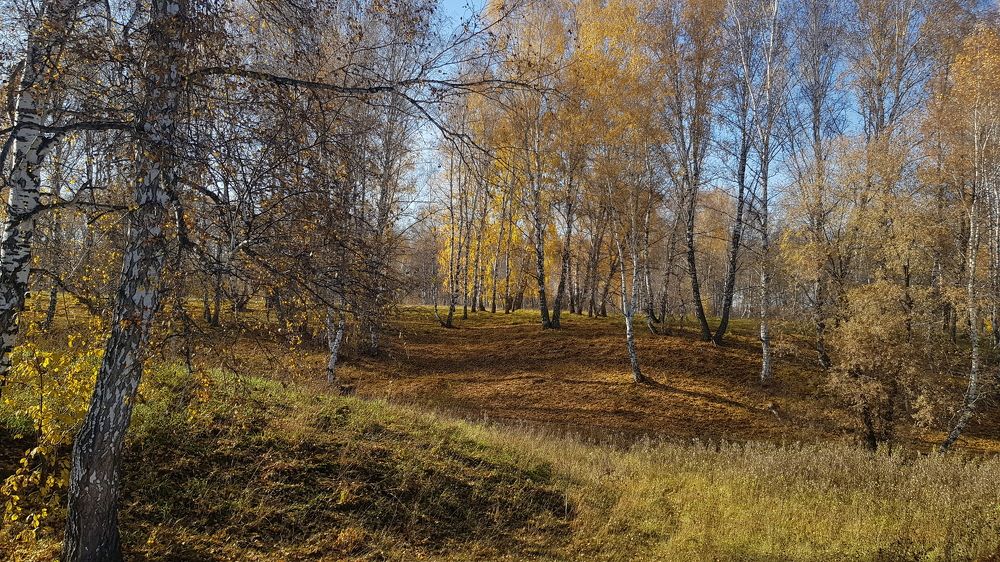 Photograph by Дарья Агапова