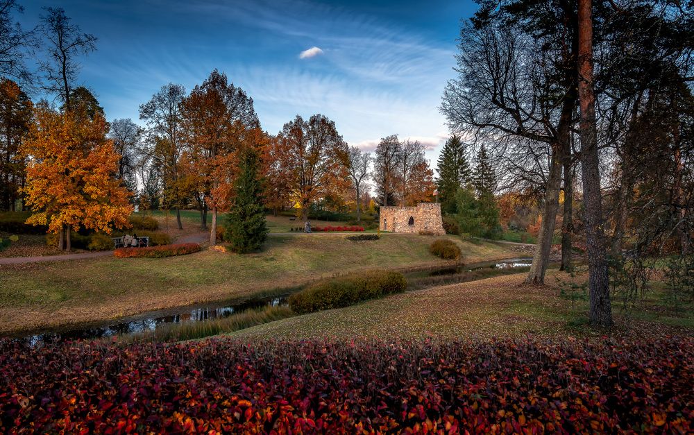 Фотография автора Васильев Андрей