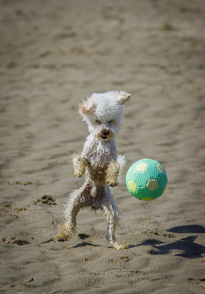 Фотография автора Евгений Печенин