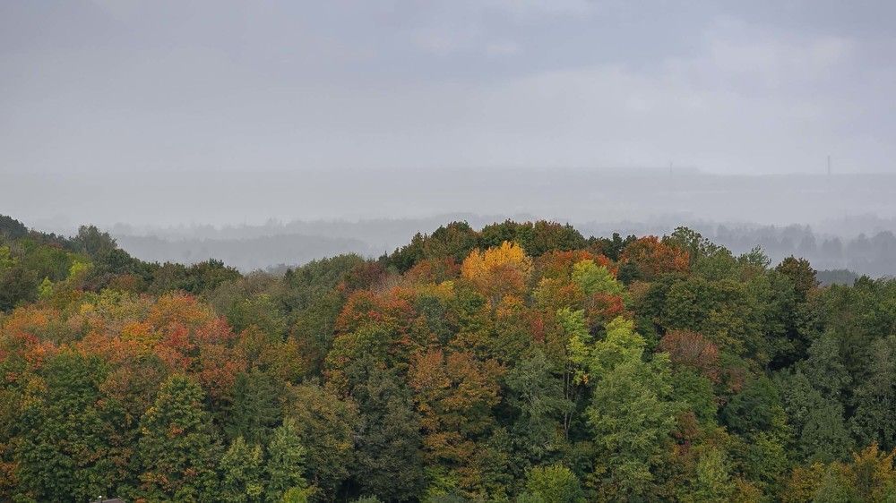 Photograph by Наталья Катюжанская