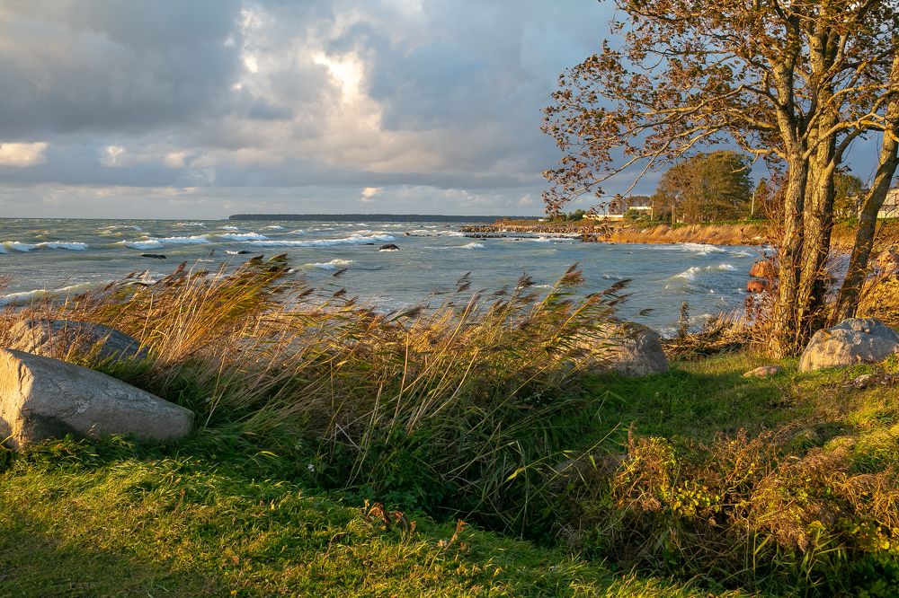 Photograph by Наталья Катюжанская