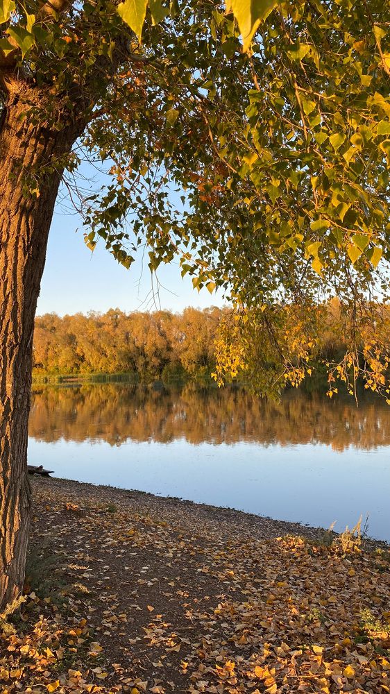 Photograph by Наталья Богаткина