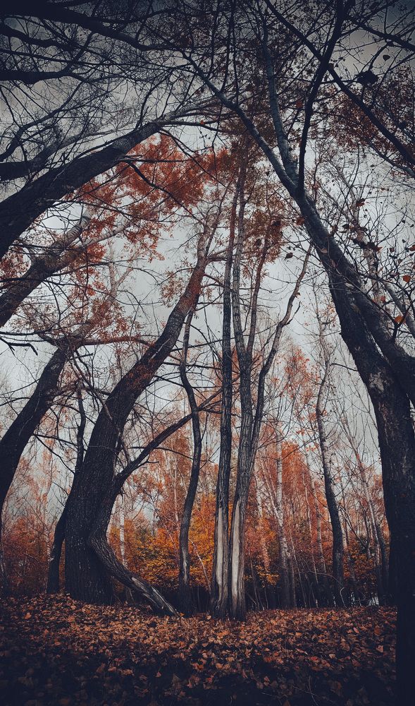 Photograph by Наталья Богаткина