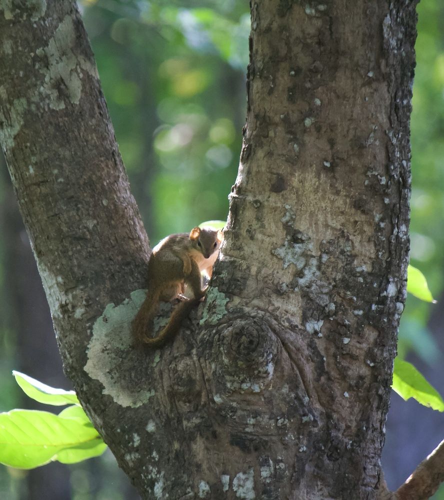 Photograph by Anshuman Pradhan