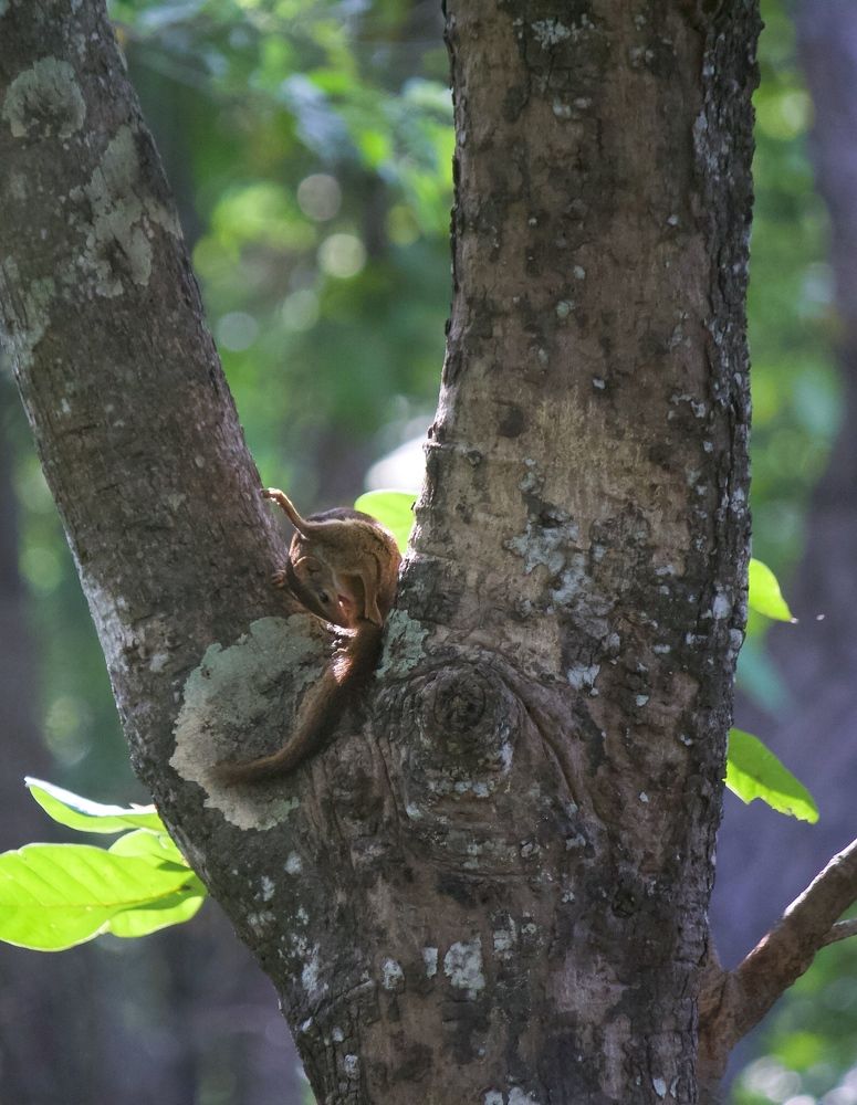 Photograph by Anshuman Pradhan
