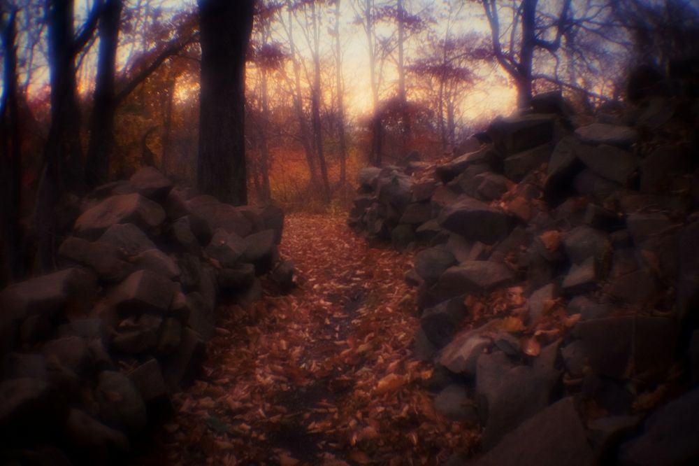 Photograph by Yana Plesakova