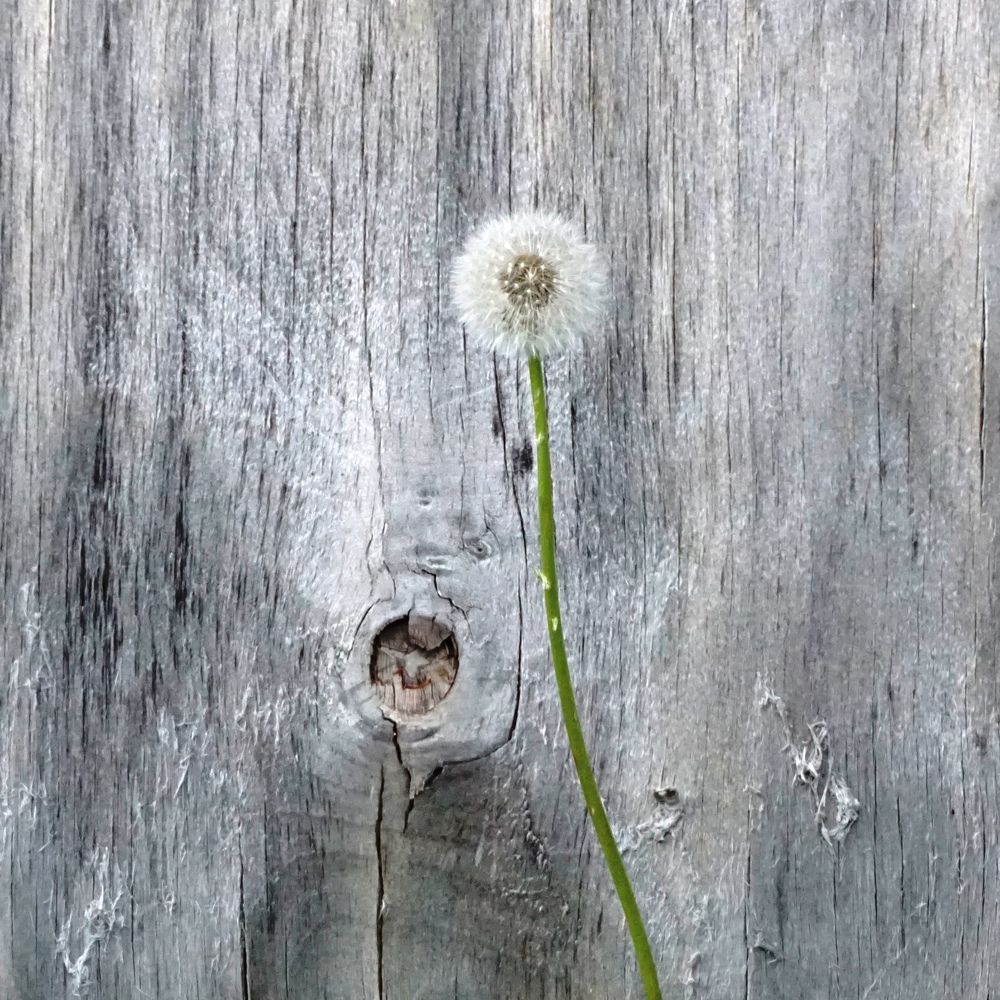 Photograph by Валерий