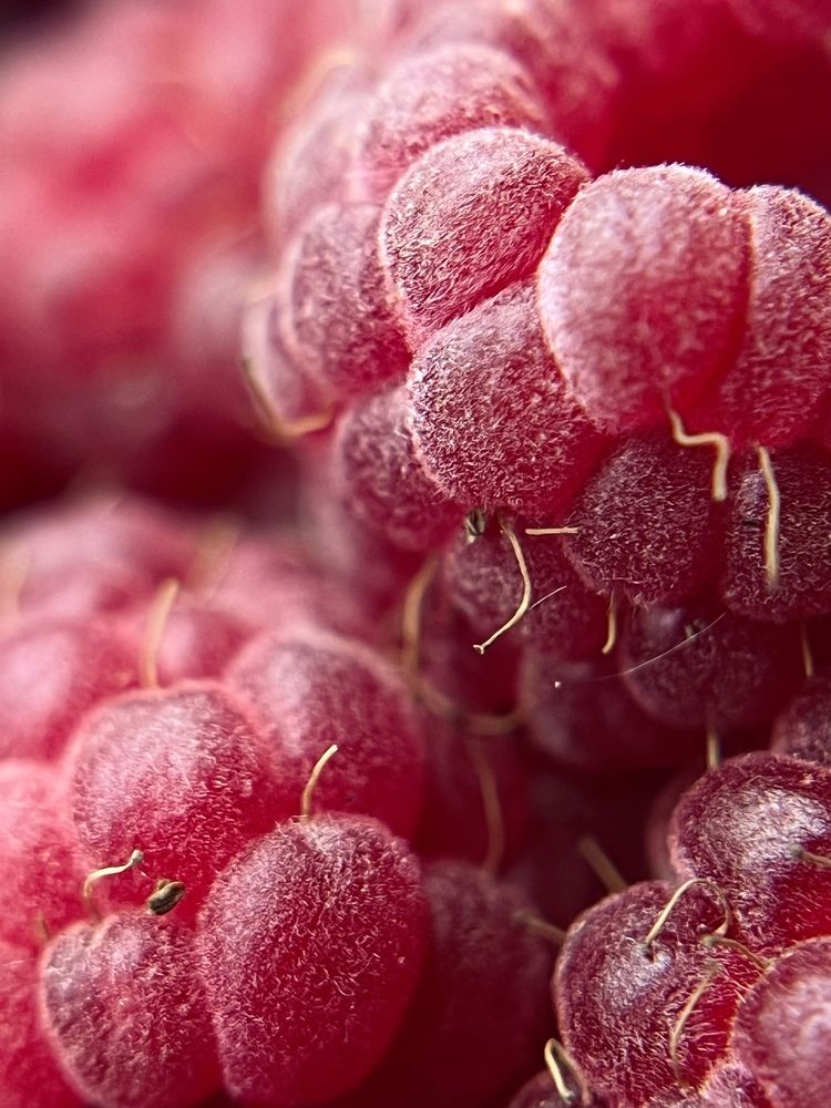 Фотография автора Александра Евченко