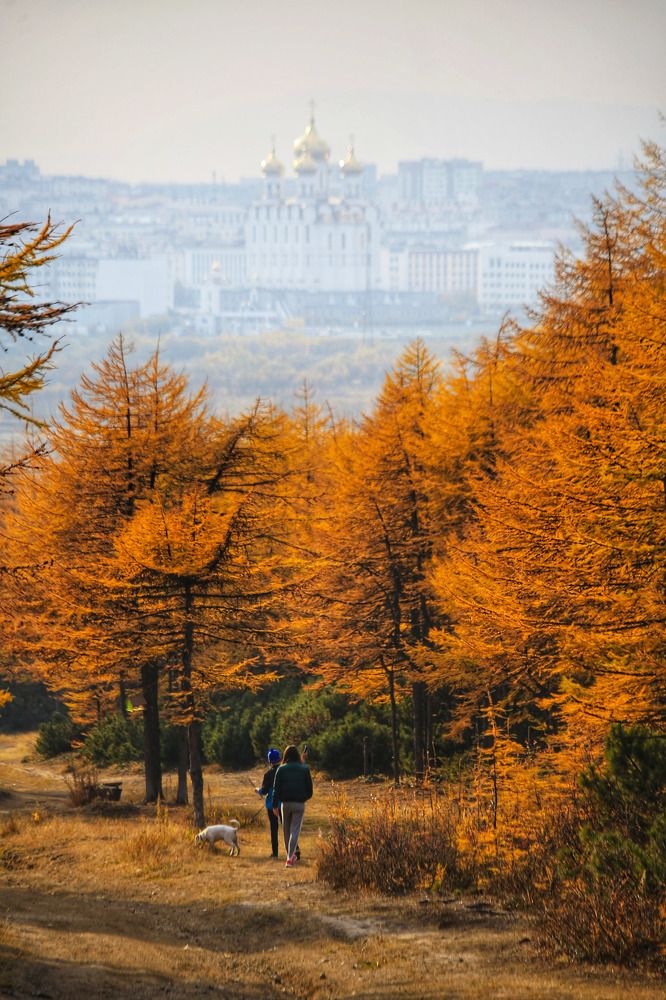 Осенняя прогулка