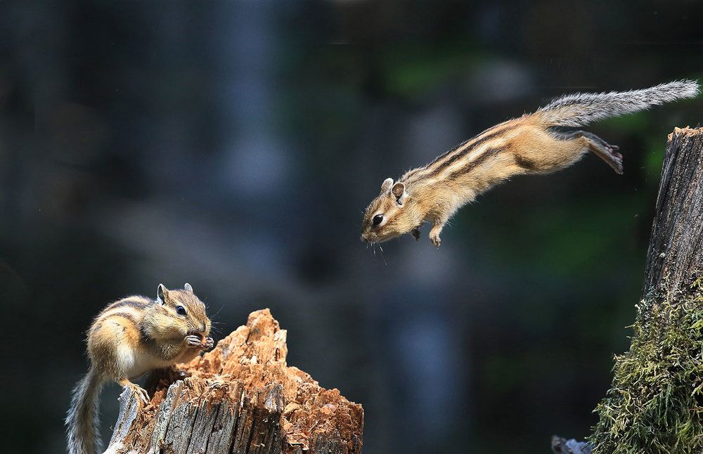 Photograph by Валерий Платонов