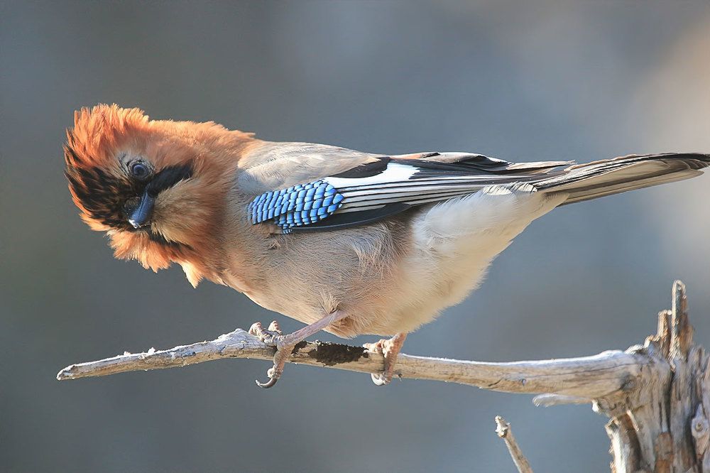 Photograph by Валерий Платонов