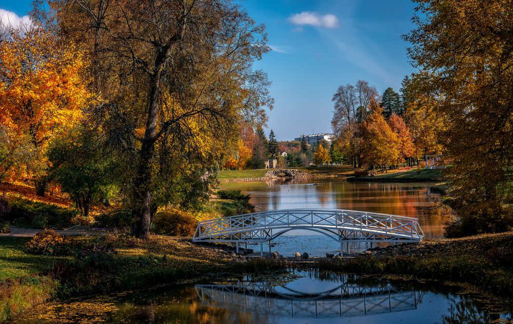 Фотография автора Васильев Андрей