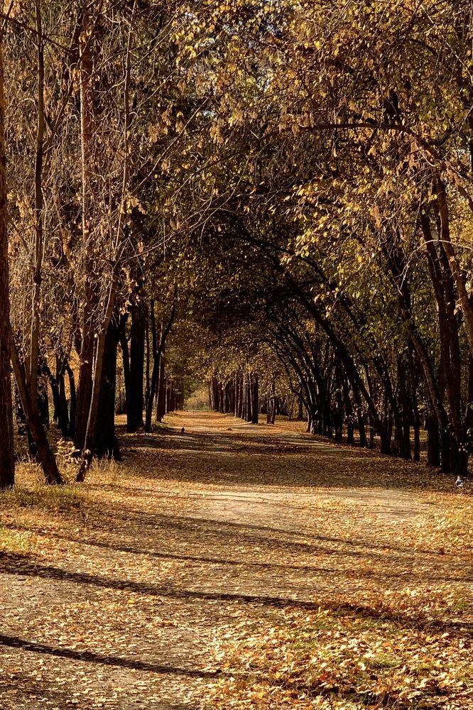 Photograph by Irina Timonina