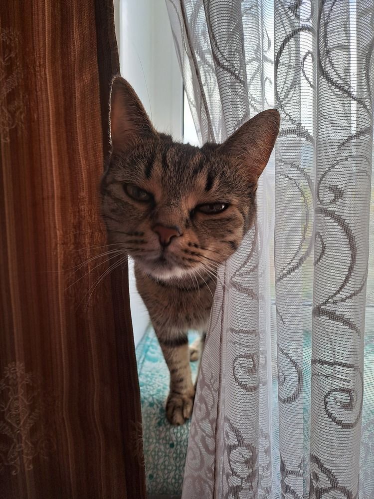 Photograph by Ирина Владимировна