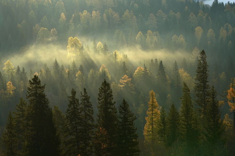 Photograph by Андрей Кузнецов