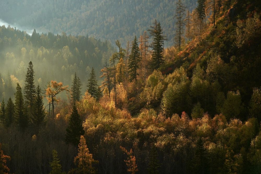 Утро на впадении Урсула в Катунь