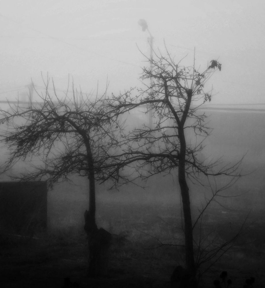 Photograph by Saro Navasardyan