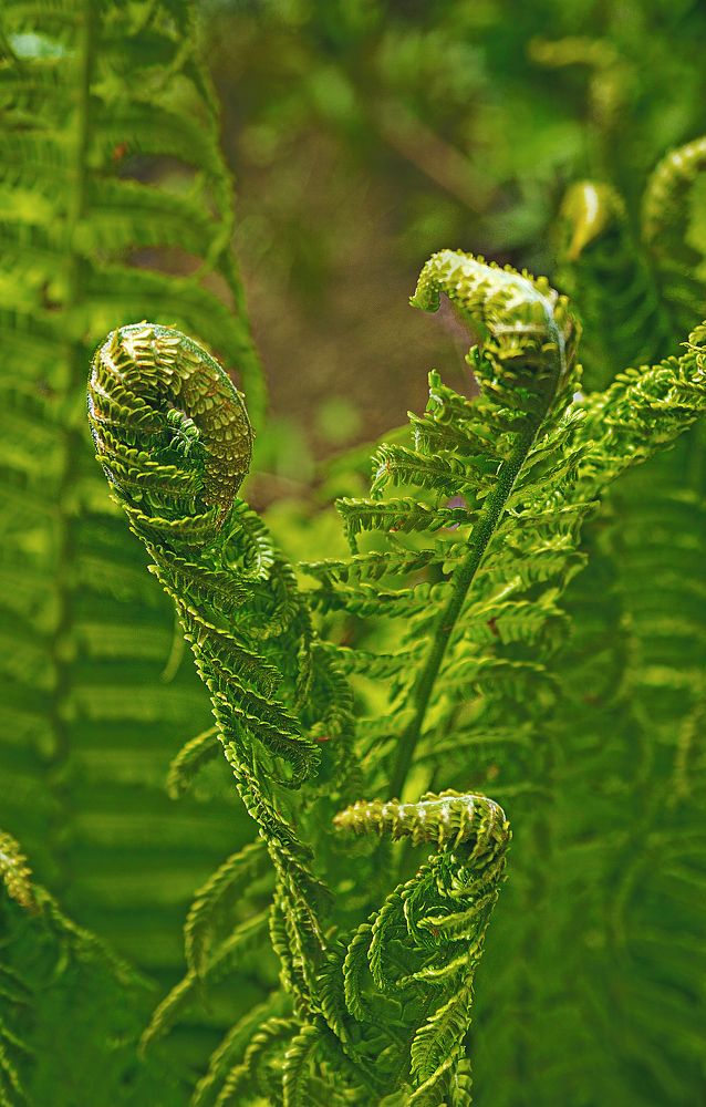Photograph by Людмила ЧЕРНИКОВА