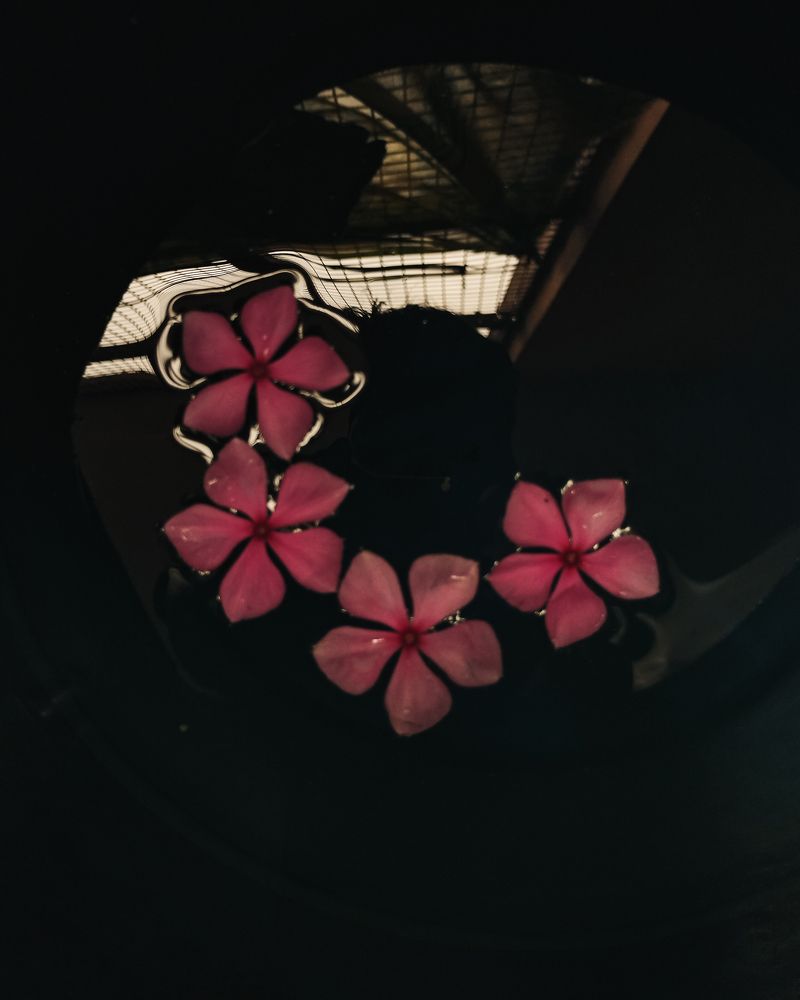 Photograph by Praveen