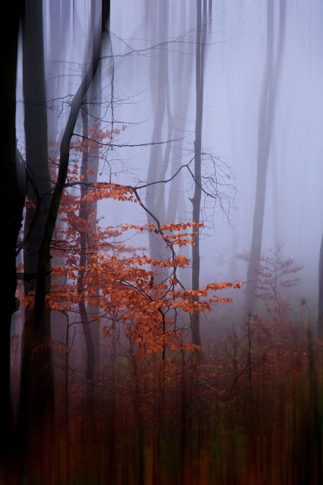 Photograph by Magdalena Kolenicova