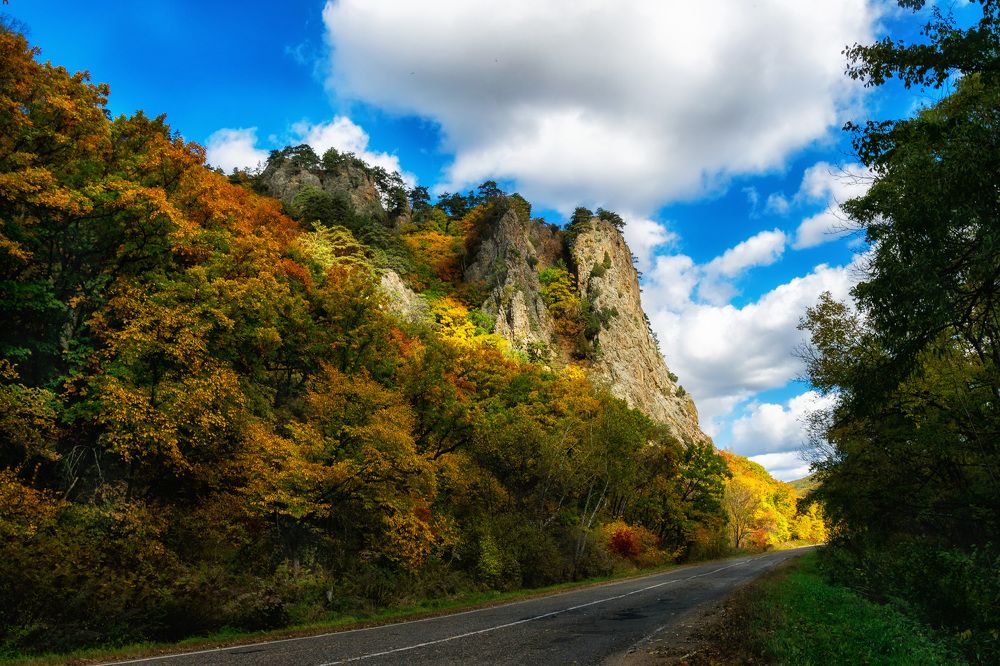 Photograph by Прохоров Денис