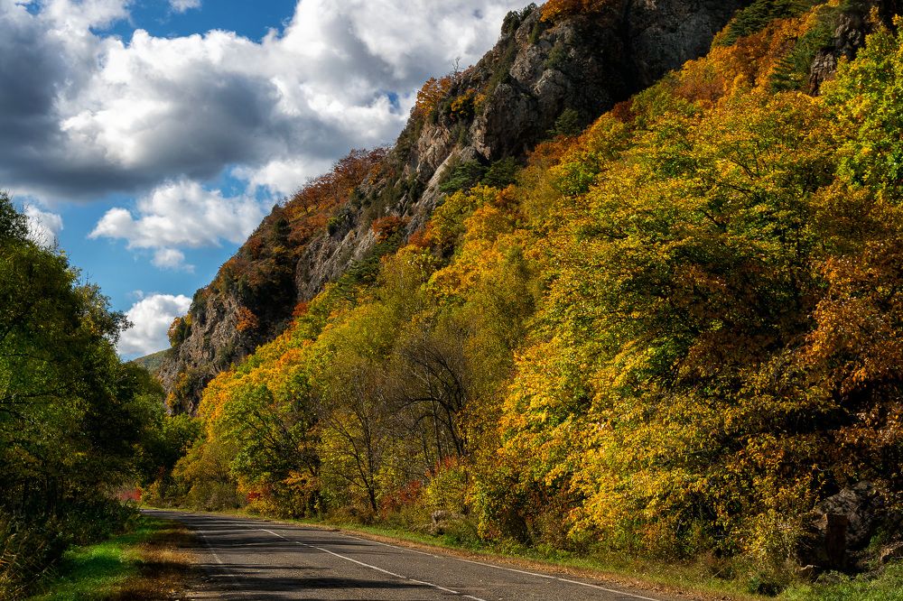 Photograph by Прохоров Денис