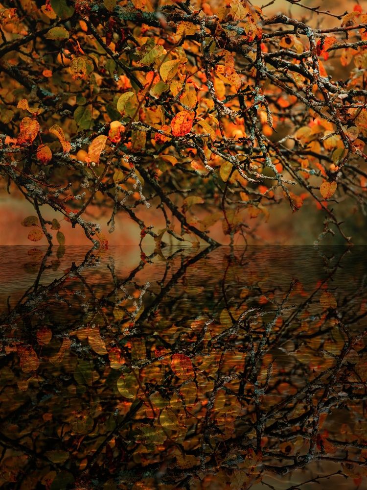 Photograph by Magdalena Kolenicova