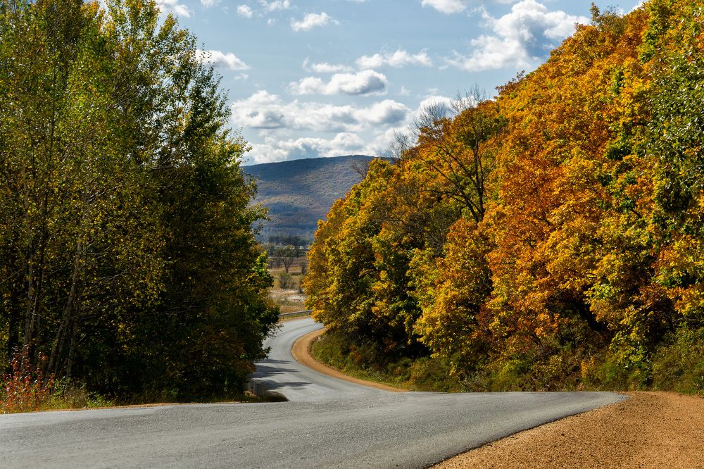 Photograph by Прохоров Денис