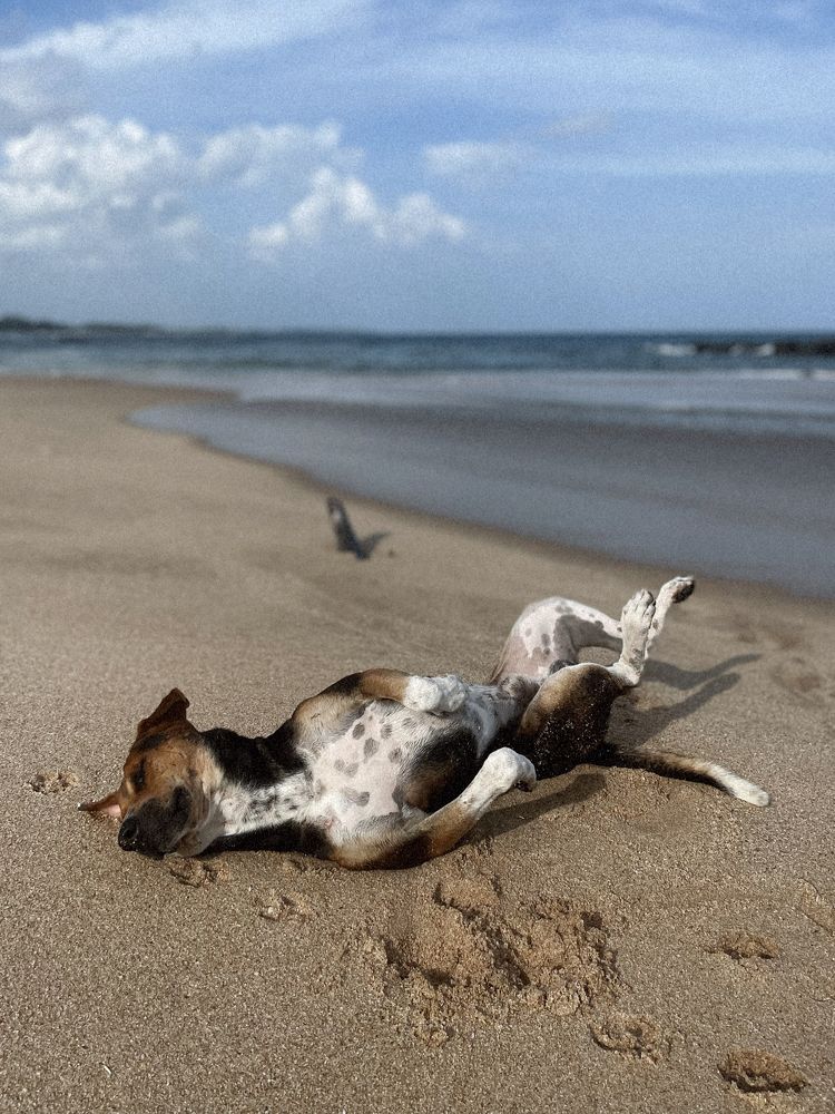 Photograph by Tina Baks