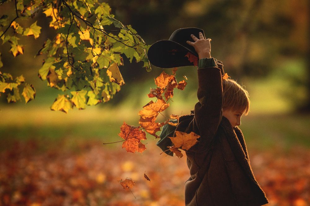 Фотография автора Elena Budanova