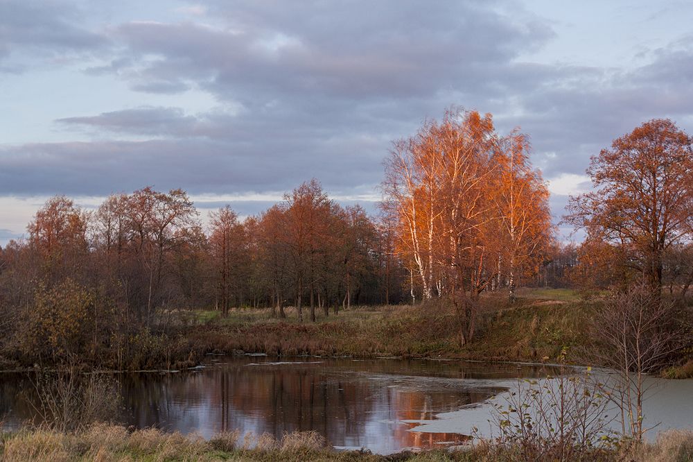Photograph by Николай Кузьмин