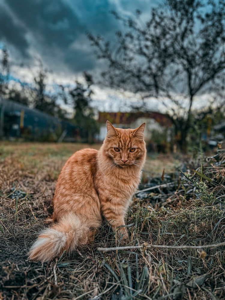 Photograph by  Ирина