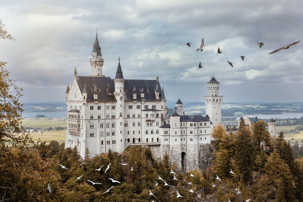 Photograph by Deimante