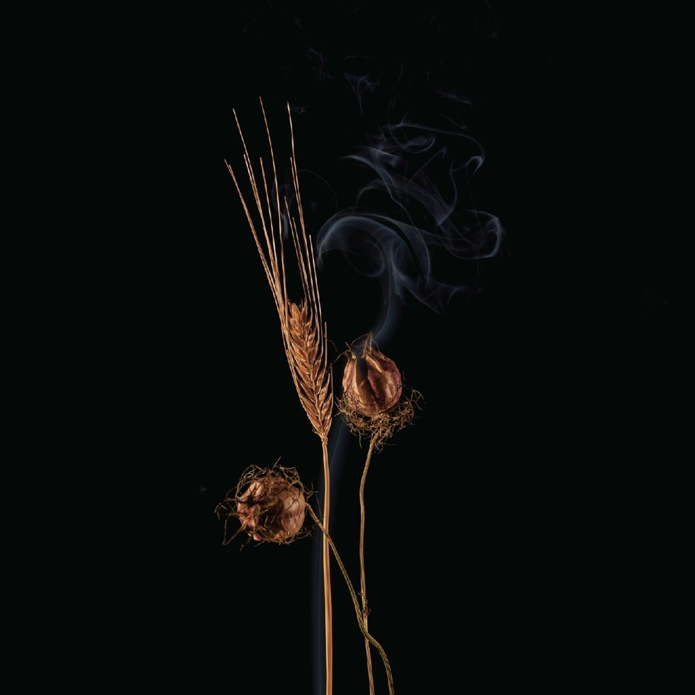 Photograph by Ольга Попова