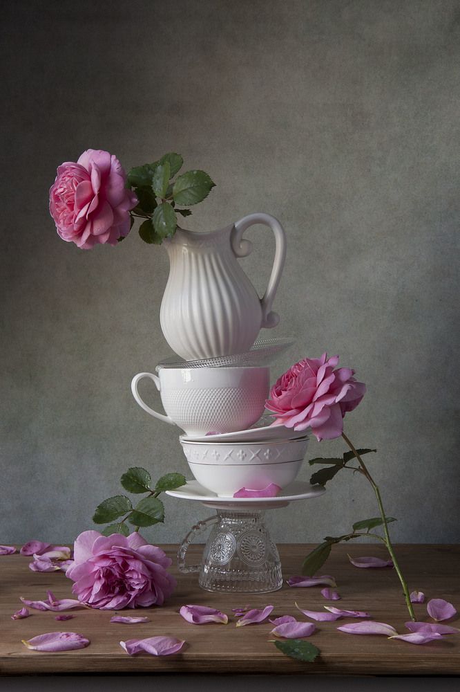 Держи равновесие