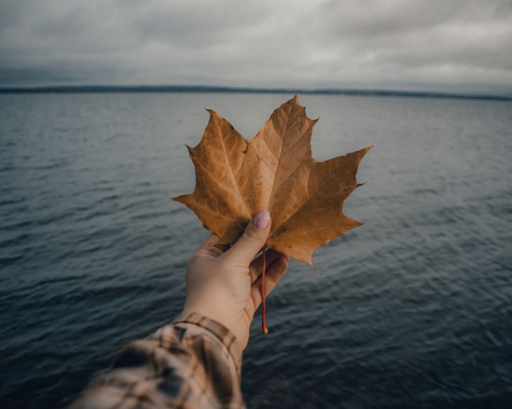 Photograph by Tatsiana Sialiuk