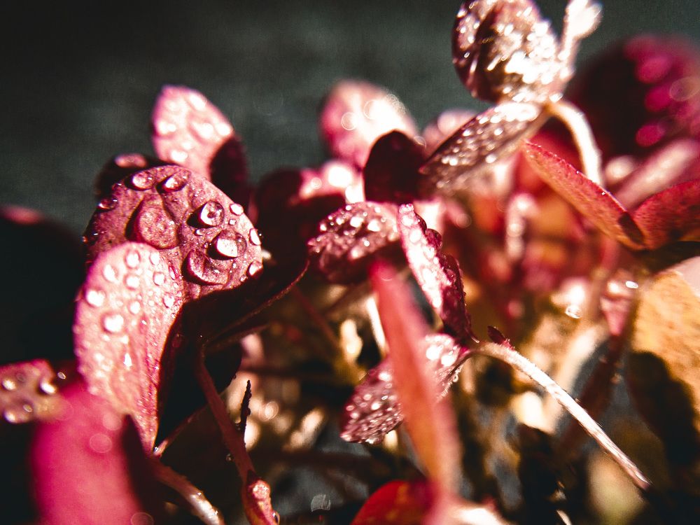 Photograph by Валерия Спирина