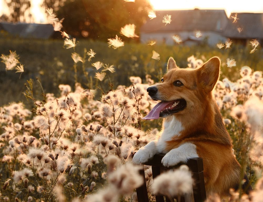 Photograph by Валерия