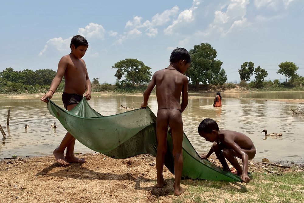 Фотография автора BIPLAB MISRA