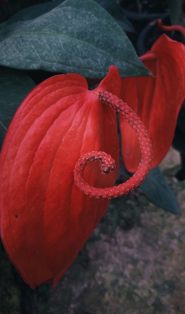 Photograph by Veronika Koneva