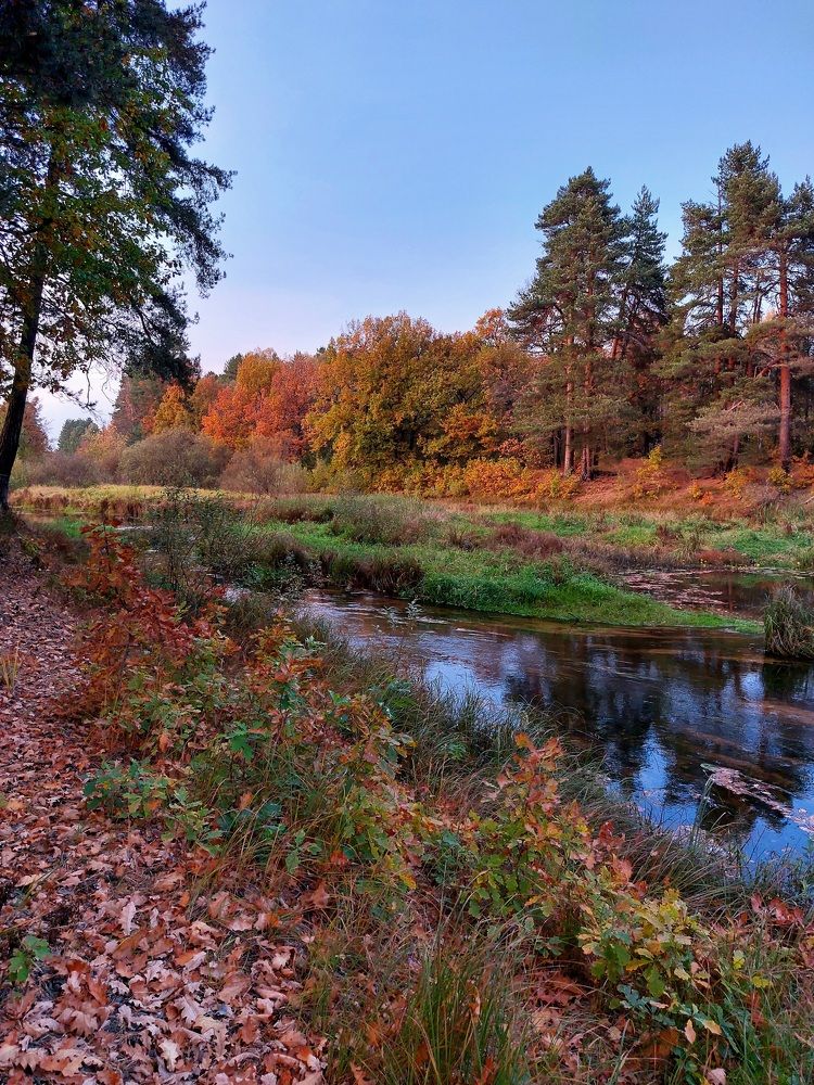 Photograph by Татьяна