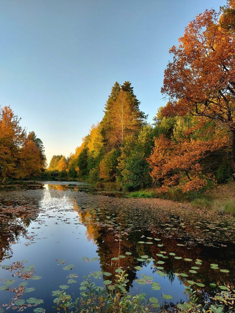 Photograph by Татьяна