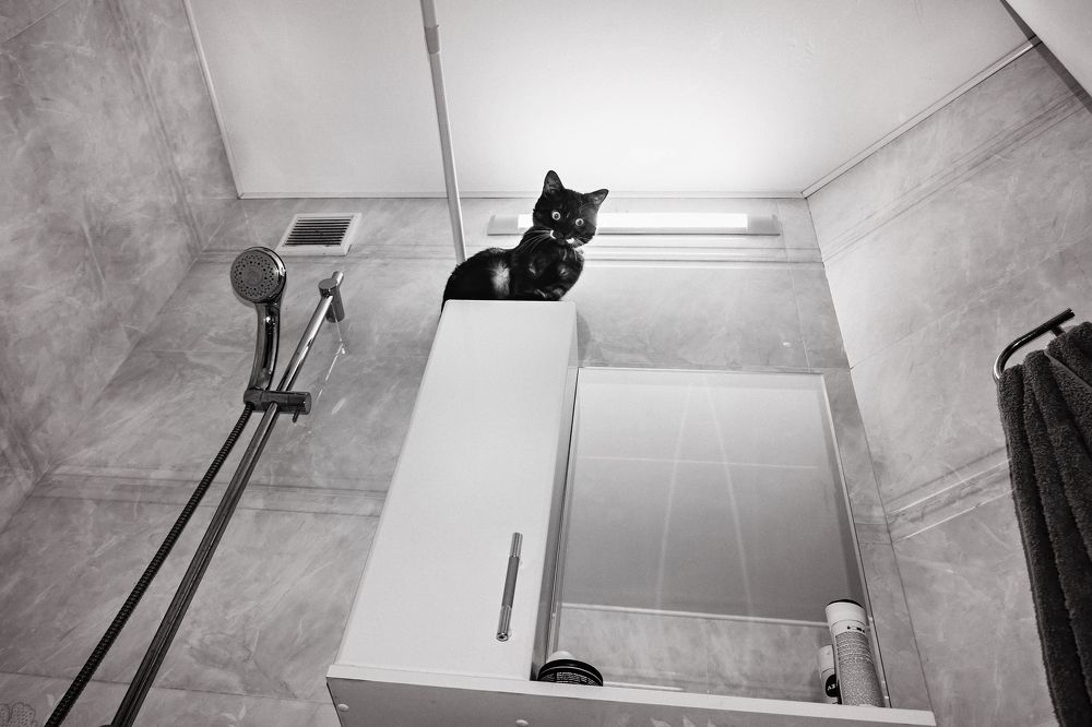 Photograph by Андрей Барышников