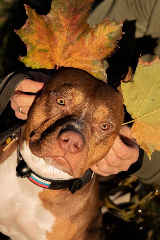 Photograph by Наталья Носова (Кучеренко)