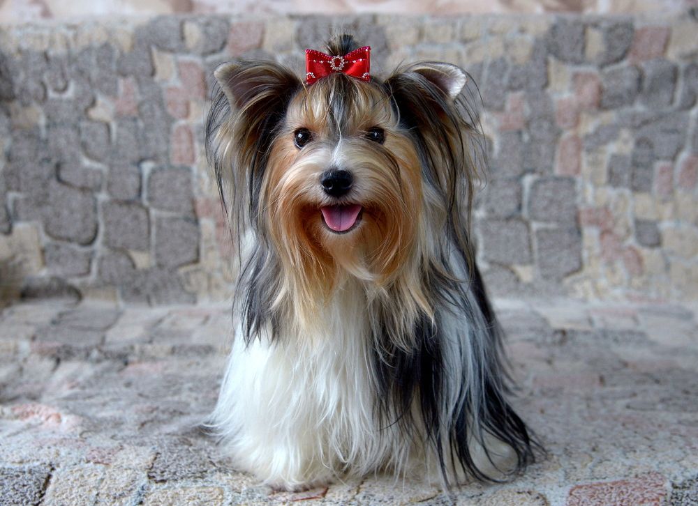 Фотография автора Владимир Куликов