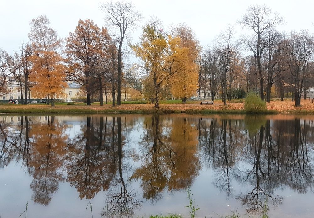 Photograph by Ирина Регинская
