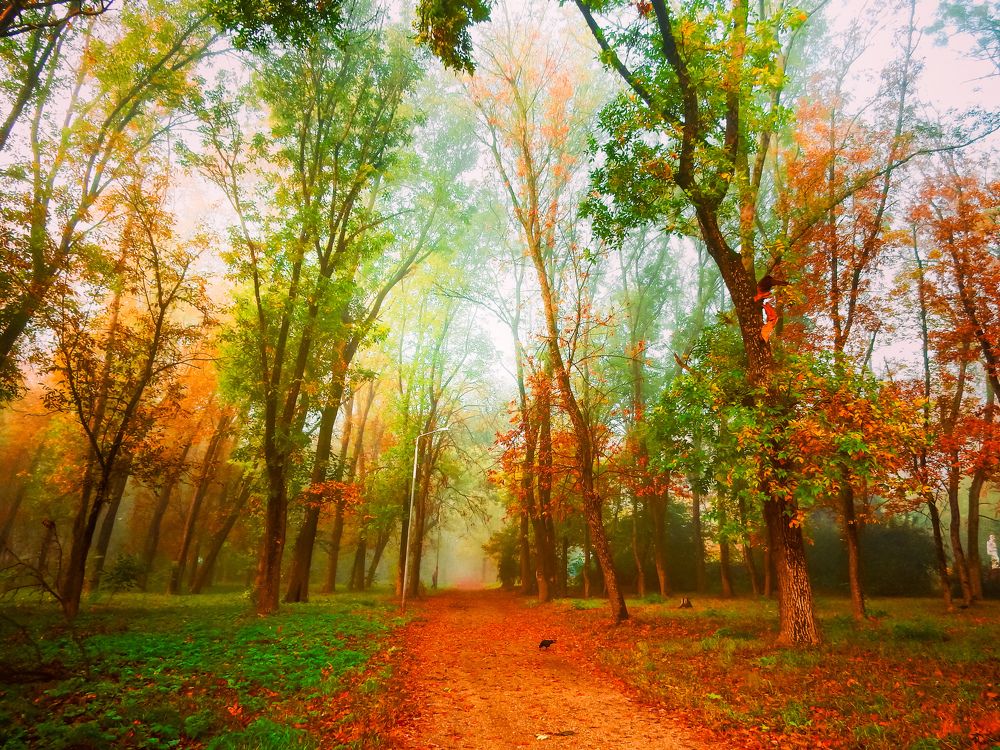 Photograph by Татьяна Слободчикова