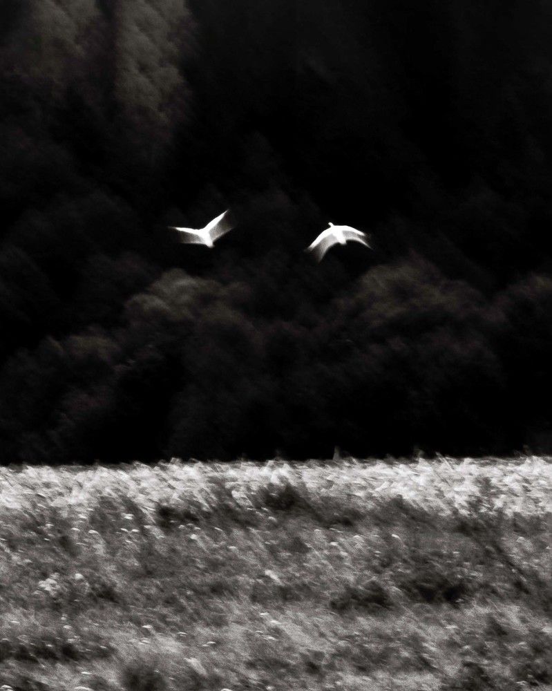 Photograph by Виктория Косинская