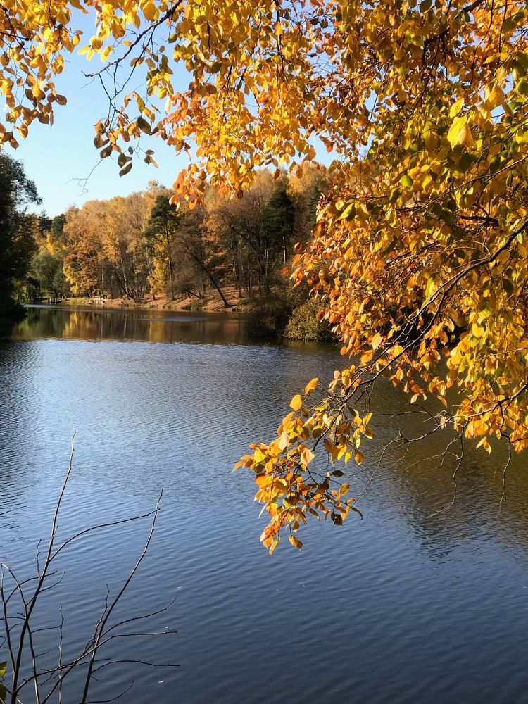 Photograph by Татьяна Шибанова